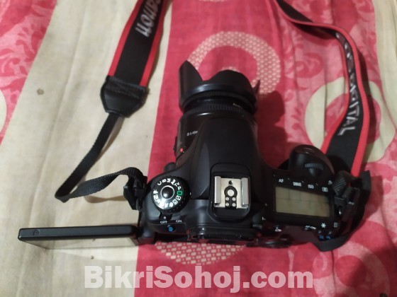 Canon 60 d,with prime lens,professional body